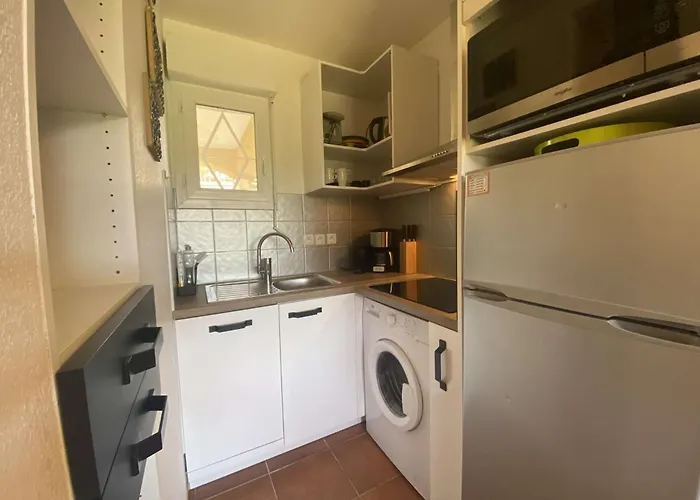 Sm320-52 Appt Avec Jardin Parking Et Piscine - Domaine De Figuieres * Sainte-Maxime